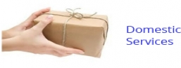 Shipping-Global Courier Services